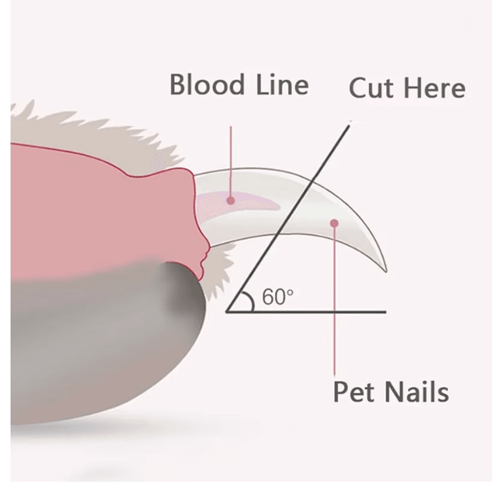 LED Pet Nail Clippers For Dogs And Cats Safe Grooming Trimmer 2
