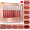 10 Piece Nude Matte Liquid Lipstick Set Long Lasting Velvet Finish 3