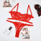 Fairy Embroidery Lace Lingerie Set Push Up Transparent Bra And Briefs 7