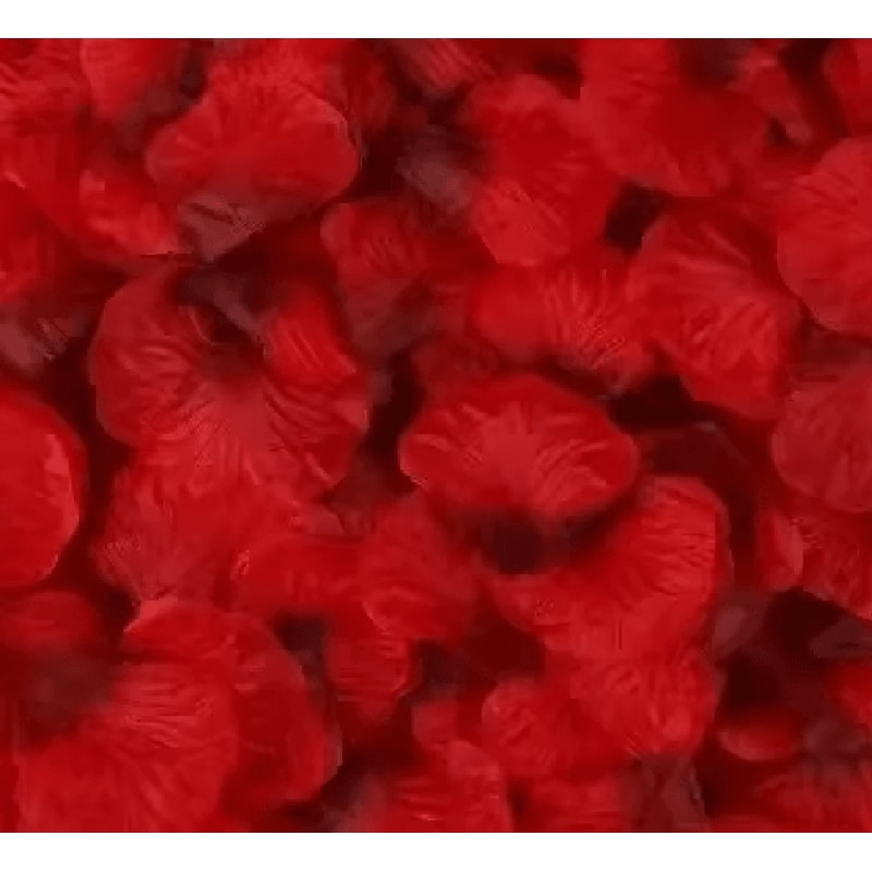 Artificial Rose Petals Red Silk Flower Petals For Romantic Wedding Decor 11