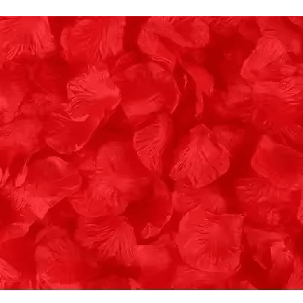Artificial Rose Petals Red Silk Flower Petals For Romantic Wedding Decor 12