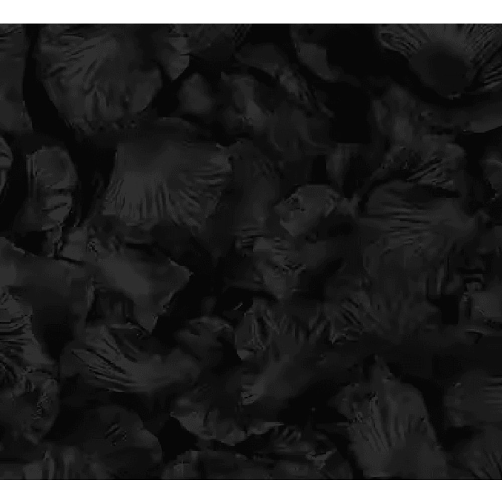 Artificial Rose Petals Red Silk Flower Petals For Romantic Wedding Decor 3