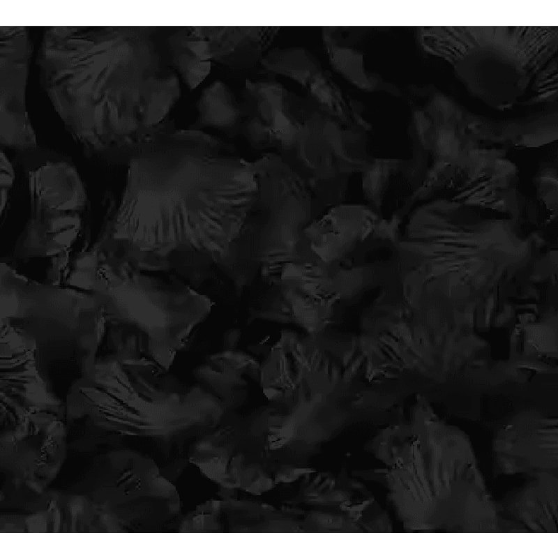 Artificial Rose Petals Red Silk Flower Petals For Romantic Wedding Decor 3