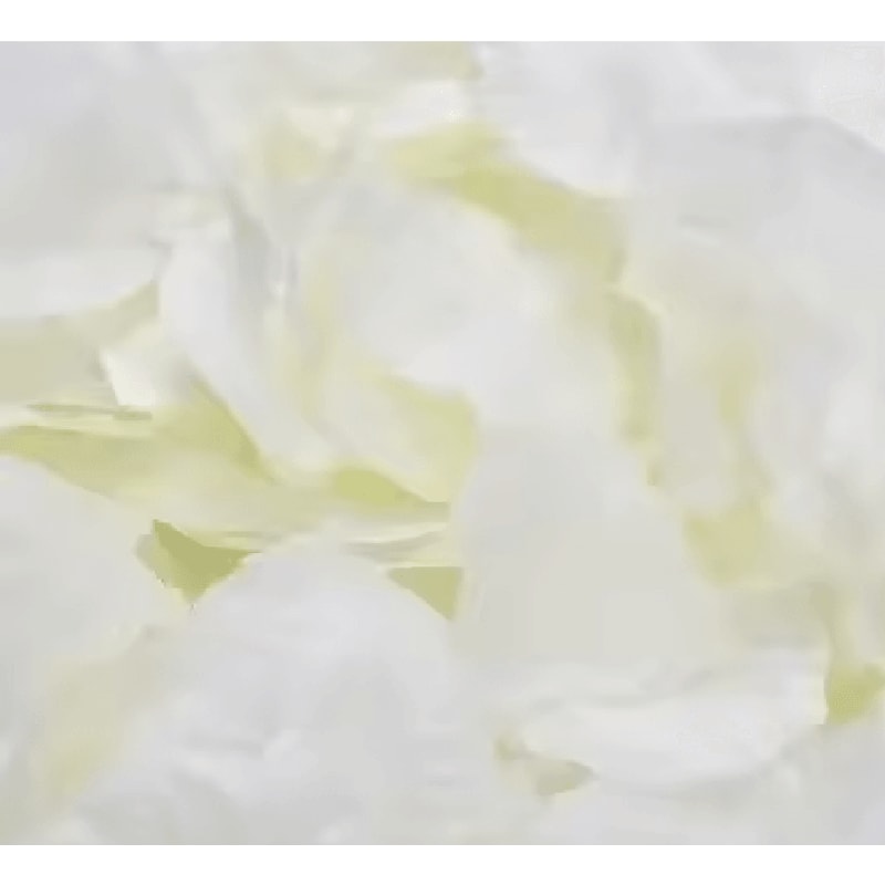 Artificial Rose Petals Red Silk Flower Petals For Romantic Wedding Decor 6