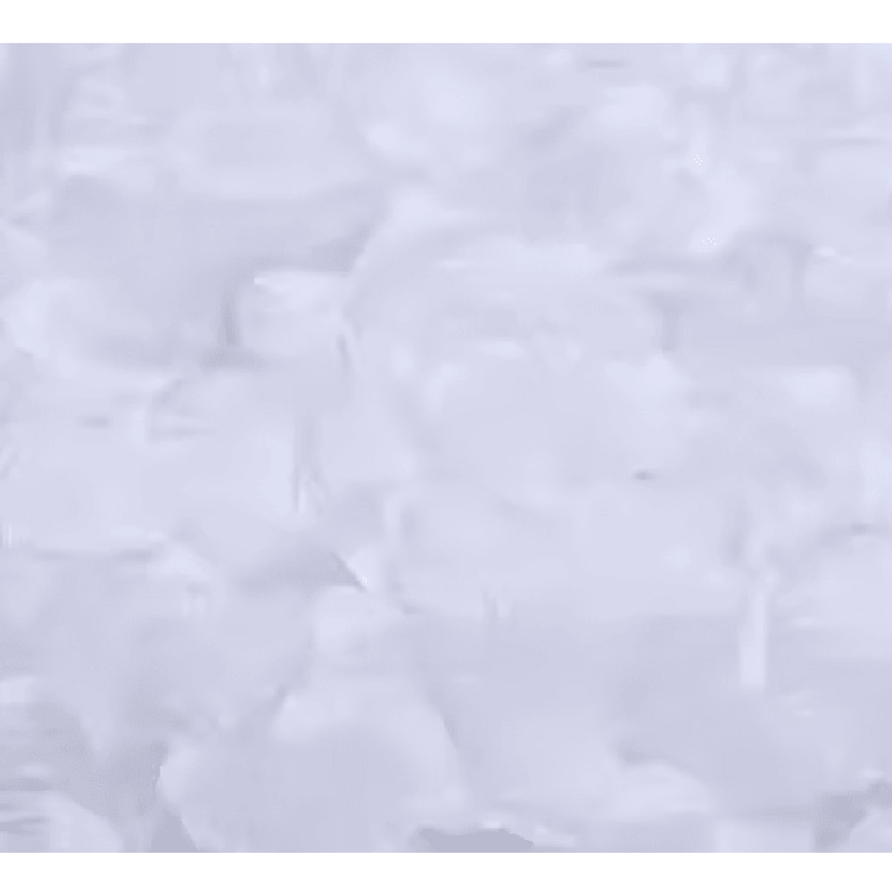 Artificial Rose Petals Red Silk Flower Petals For Romantic Wedding Decor 7