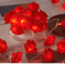 3M LED Rose String Lights Battery Operated Flower Garland Decor 3