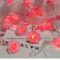 3M LED Rose String Lights Battery Operated Flower Garland Decor 4