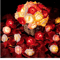 3M LED Rose String Lights Battery Operated Flower Garland Decor 8