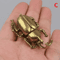 AuroraCraft Solid Brass Beetle Ornament Tea Pet Figurine 4