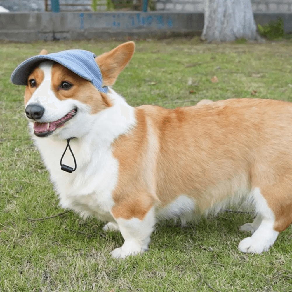 Adjustable Dog Baseball Cap With Breathable Sun Protection 0