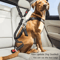 Heavy Duty Adjustable Dog Car Seat Belt Safety Leash For Secure Travel 0