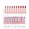 10 Piece Matte Lipstick Set Long Lasting Lipstick Kit With Lip Liner 5