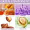 Fruity Deodorant Lotion Long Lasting Body Fragrance Deodorant Cream 3