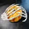Realistic Skeleton Hands Halloween Decoration Haunted House Prop 2