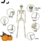Posable Halloween Skeleton Figure Realistic Human Skeleton Decoration 4