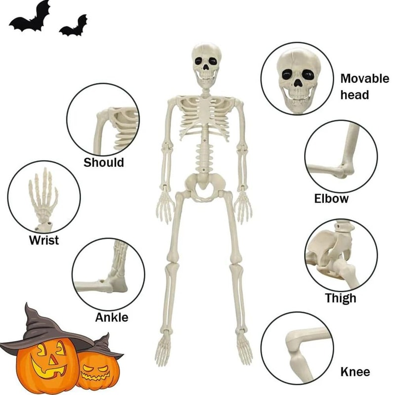 Posable Halloween Skeleton Figure Realistic Human Skeleton Decoration 4