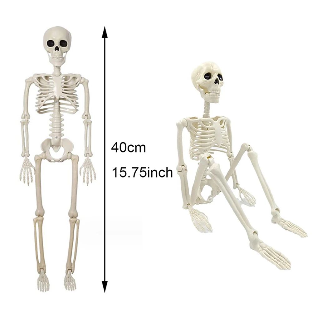 Posable Halloween Skeleton Figure Realistic Human Skeleton Decoration 5