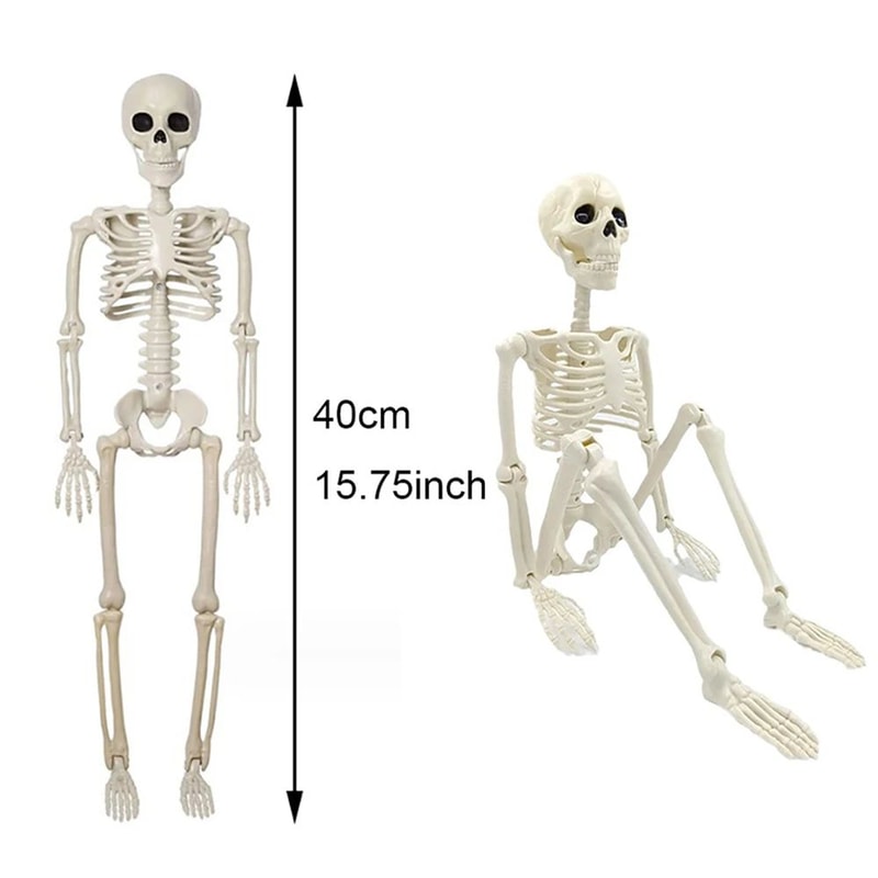 Posable Halloween Skeleton Figure Realistic Human Skeleton Decoration 5