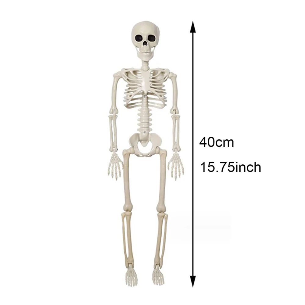 Posable Halloween Skeleton Figure Realistic Human Skeleton Decoration 6