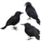 Realistic Black Crow Halloween Decoration Feather Raven Prop 3