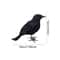 Realistic Black Crow Halloween Decoration Feather Raven Prop 4