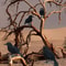 Realistic Black Crow Halloween Decoration Feather Raven Prop 5