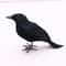 Realistic Black Crow Halloween Decoration Feather Raven Prop 6