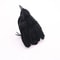 Realistic Black Crow Halloween Decoration Feather Raven Prop 8