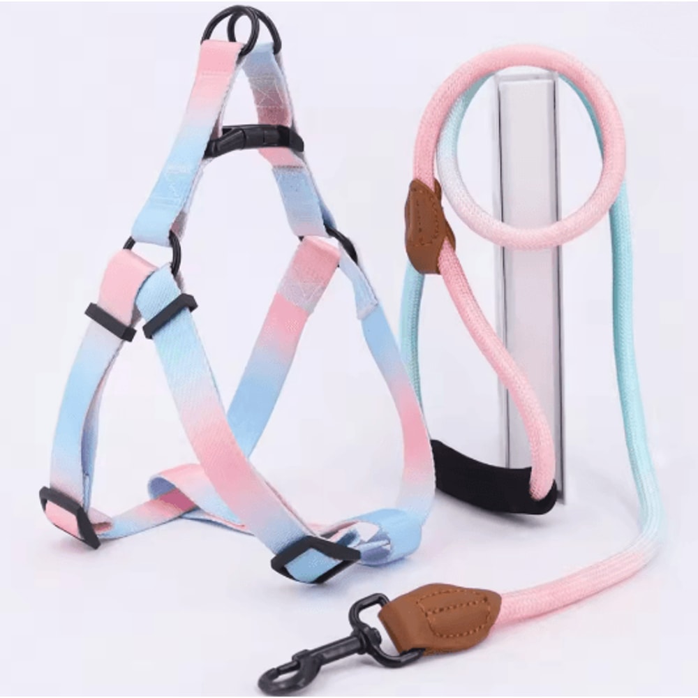 Adjustable Small Dog Harness And Leash Set 2