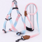 Adjustable Small Dog Harness And Leash Set 2