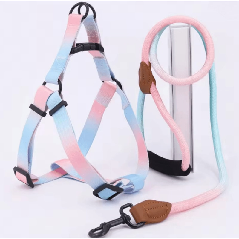 Adjustable Small Dog Harness And Leash Set 2