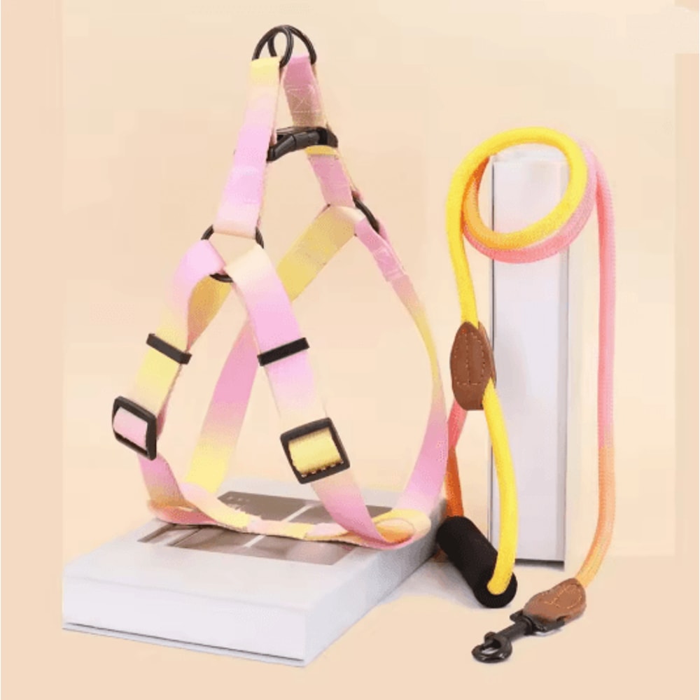 Adjustable Small Dog Harness And Leash Set 3