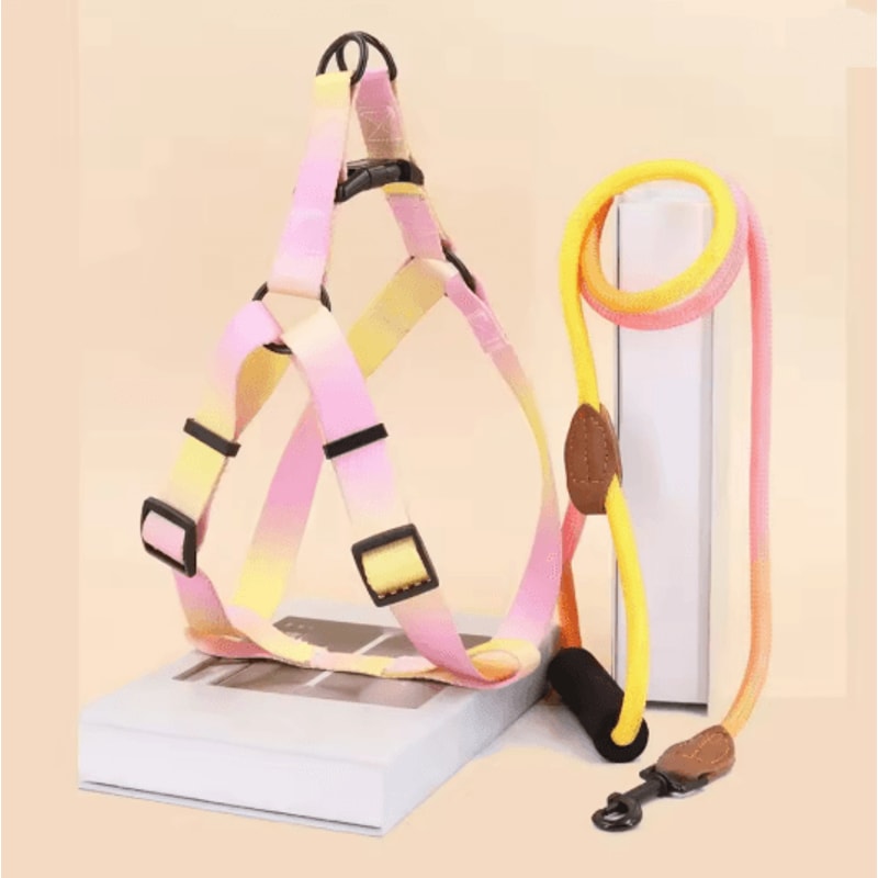 Adjustable Small Dog Harness And Leash Set 3