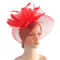 Elegant Mesh Fascinator Headband With Flower Veil Derby Cocktail Hat For Women 3