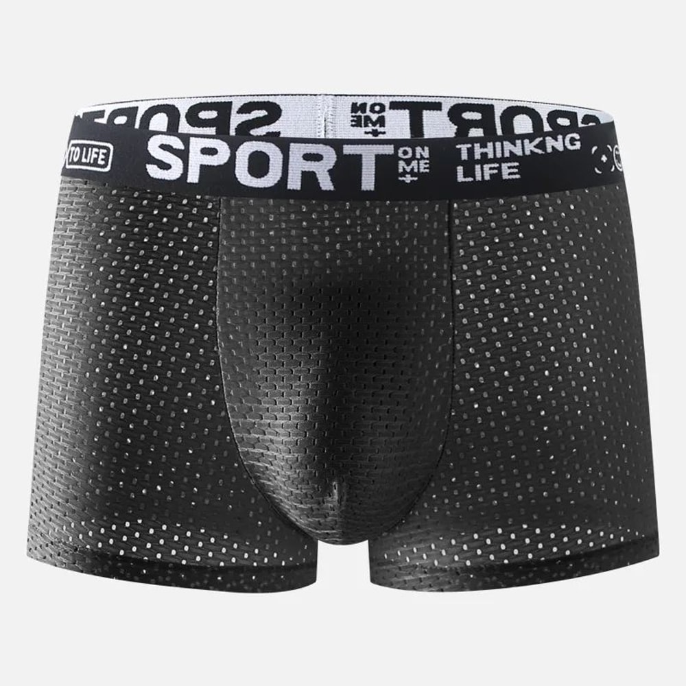 Mens Ice Silk Boxer Shorts Breathable Cooling Underwear 5 Pack 5