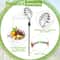 Extendable Fruit Picker Tool With Basket For Easy Tree Harvesting 1