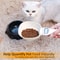 Digital Pet Food Measuring Spoon Scale Precise Portion Control Feeding Tool 2