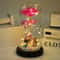 Galaxy Rose Glass Dome Eternal Flower Gift With LED Light For Mom And Loved Ones 10