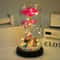 Galaxy Rose Glass Dome Eternal Flower Gift With LED Light For Mom And Loved Ones 1