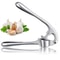 Stainless Steel Garlic Press Rocker Crusher And Mincer Tool 6