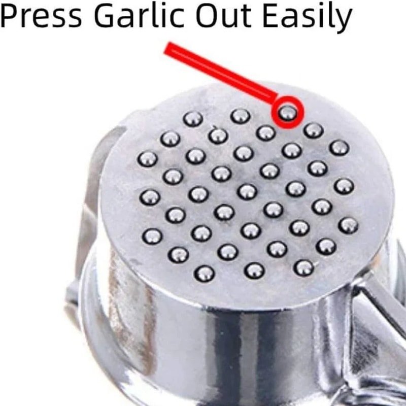 Stainless Steel Garlic Press Mincer Set With Peeler And Cleaning Brush 1