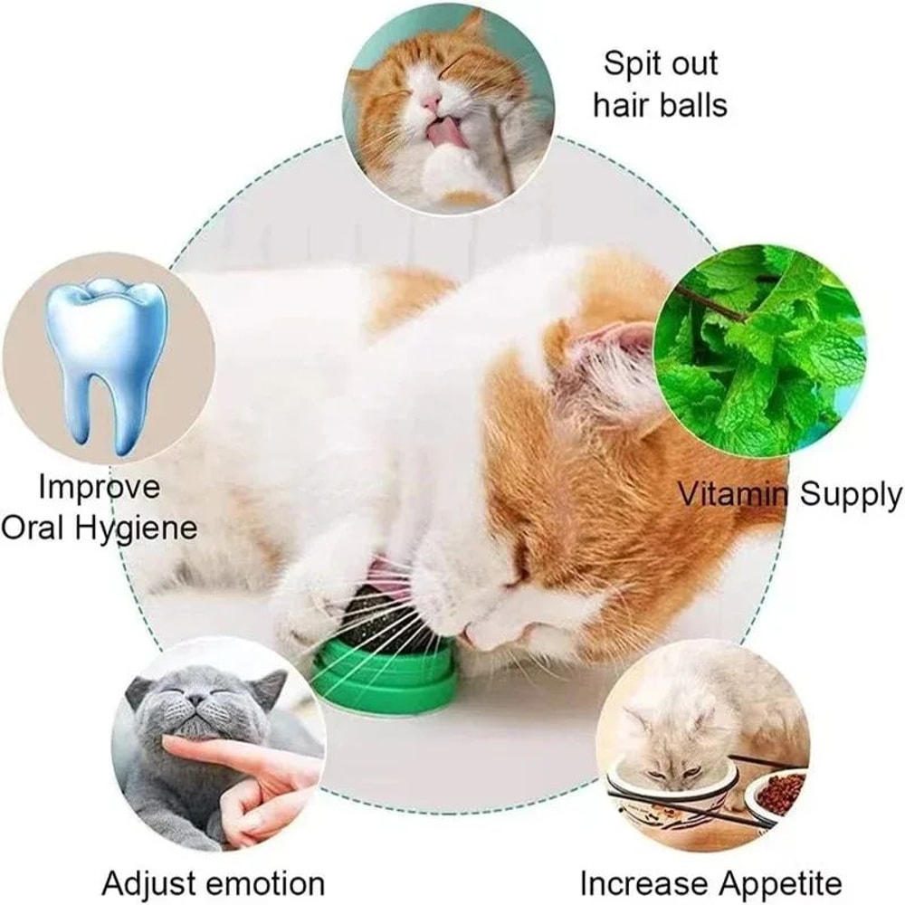 Wall Mounted Catnip Ball Toy And Scratching Post For Cats 3