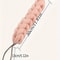 Braided Mesh Back Scrubber Long Handle Exfoliating Shower Body Sponge 5