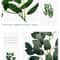Artificial Eucalyptus Leaves Decorative Greenery For Home And Wedding Arrangements 1