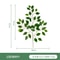 Artificial Eucalyptus Leaves Decorative Greenery For Home And Wedding Arrangements 17
