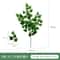 Artificial Eucalyptus Leaves Decorative Greenery For Home And Wedding Arrangements 12