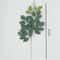 Artificial Eucalyptus Leaves Decorative Greenery For Home And Wedding Arrangements 19