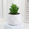 Artificial Succulent Plant Decor Mini Bonsai Fake Plant For Home And Office 9