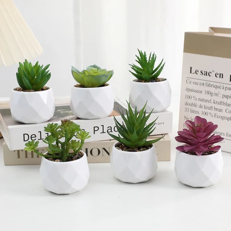 Artificial Succulent Plant Decor Mini Bonsai Fake Plant For Home And Office 2