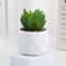 Artificial Succulent Plant Decor Mini Bonsai Fake Plant For Home And Office 6
